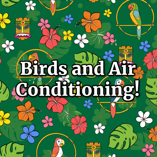 Birds [and Air Conditioning!]